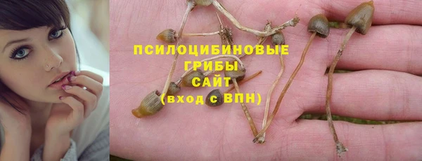 apvp Заволжск