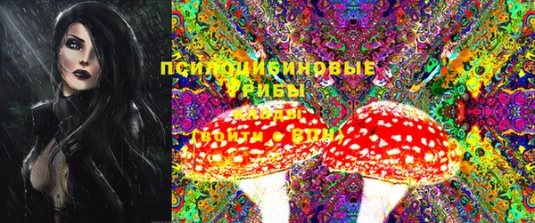mdma Заводоуковск