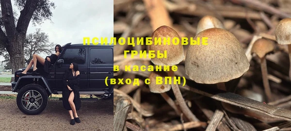 спайс Нестеровская